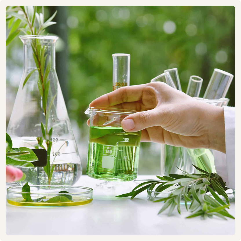 Active Ingredients