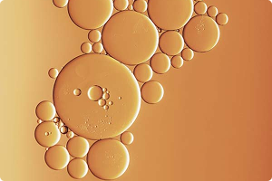 Ferulic Acid